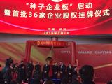 武汉股权交易中心挂牌2.jpg